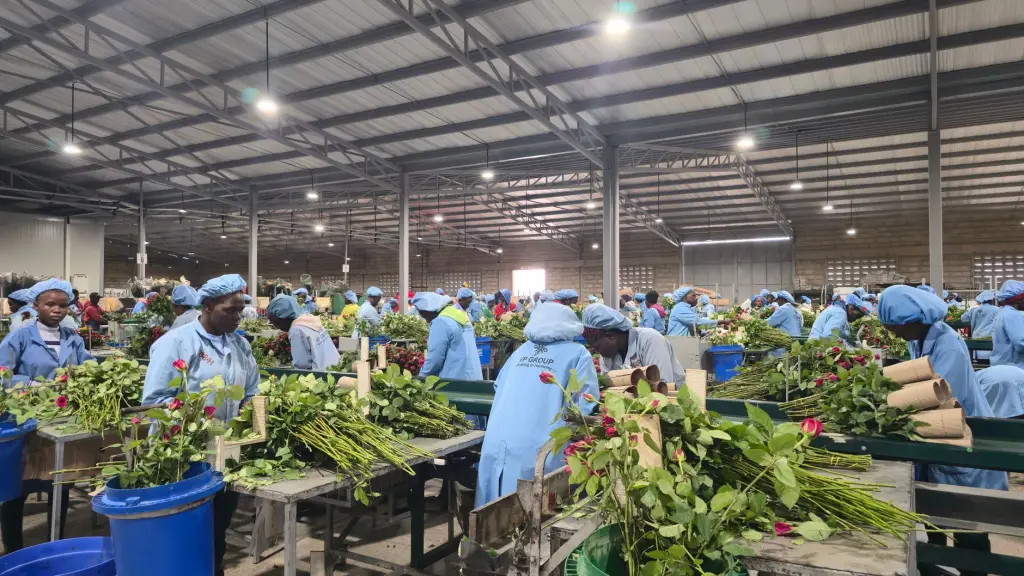 气体化工装备在苏州工业园区应用案例及技术优势分析